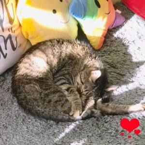 Meet your Posher, Cheri